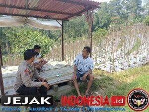 IMG-20260606-WA0037