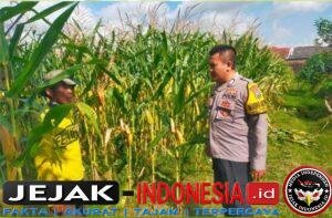 IMG-20260613-WA0042
