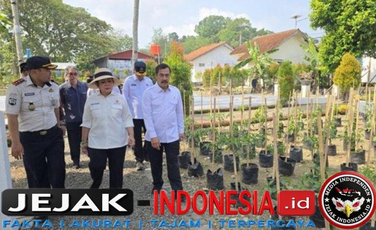 IMG-20260622-WA0005