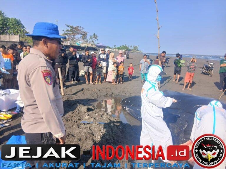 IMG-20260714-WA0093