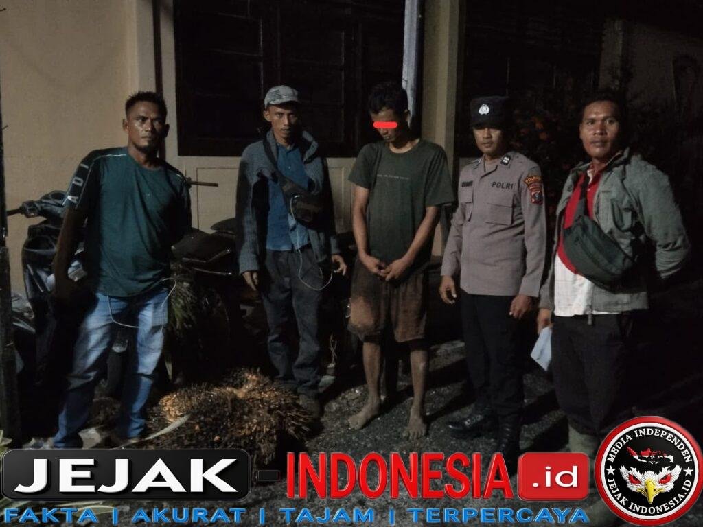 IMG-20260715-WA0009