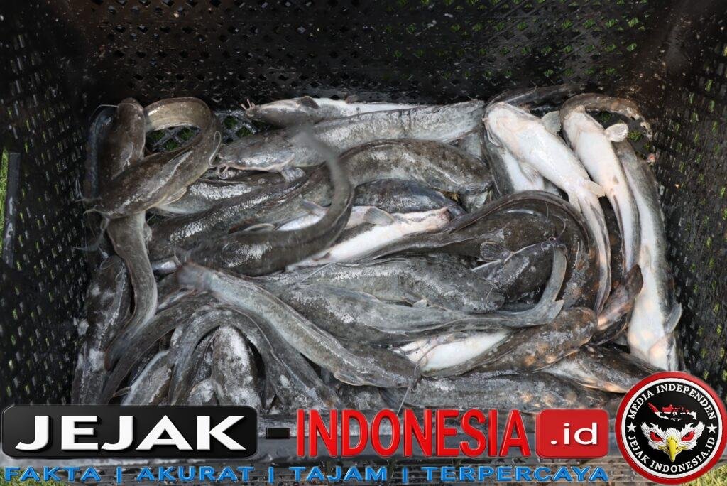 IMG-20260715-WA0057
