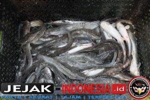 IMG-20260715-WA0057