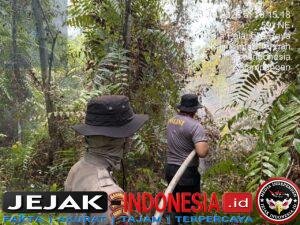 IMG-20260726-WA0063