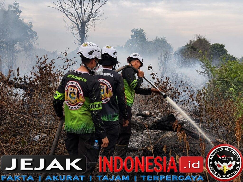 IMG-20260728-WA0032