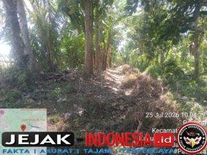 IMG-20260728-WA0041