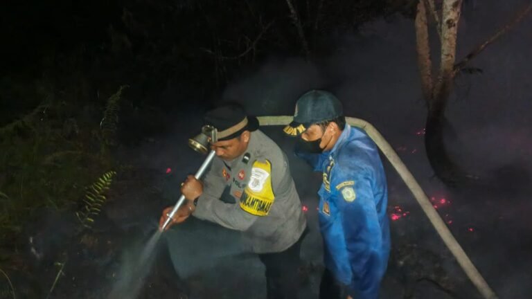 IMG-20260730-WA0028
