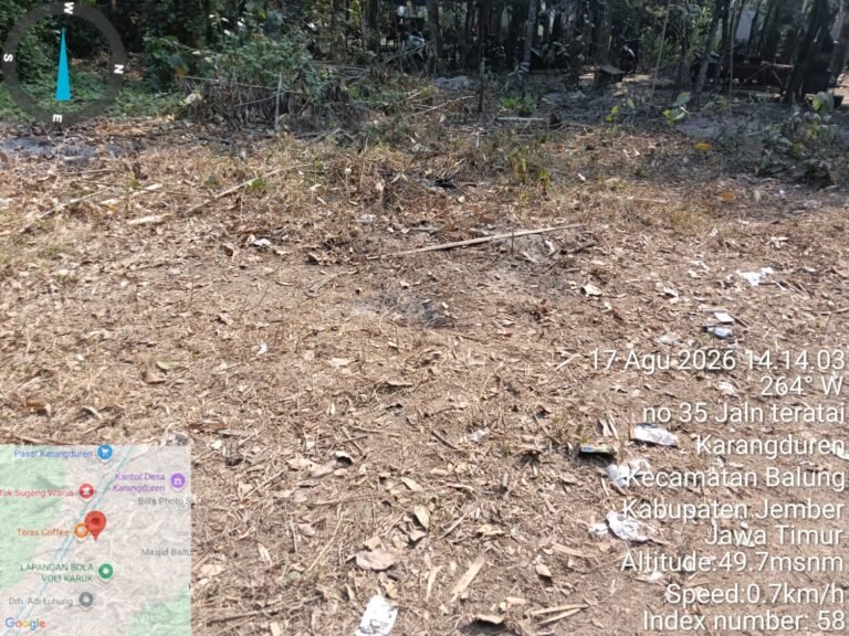 IMG-20260817-WA0034
