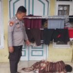 IMG-20260822-WA0056