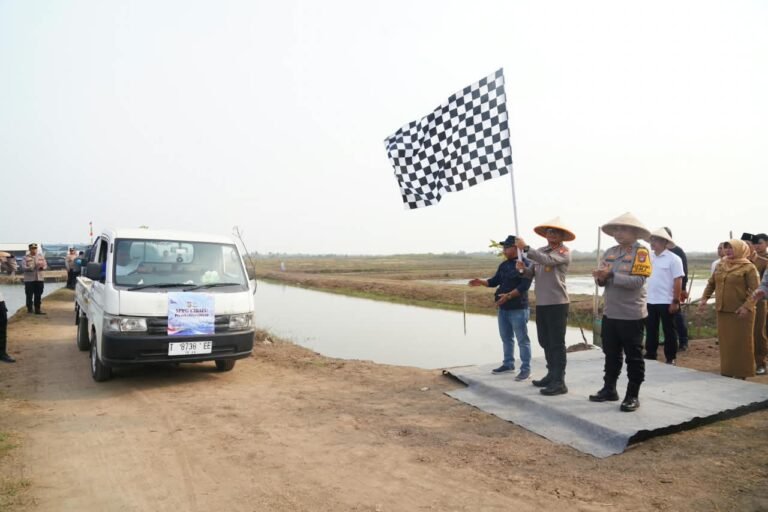 IMG-20260929-WA0026