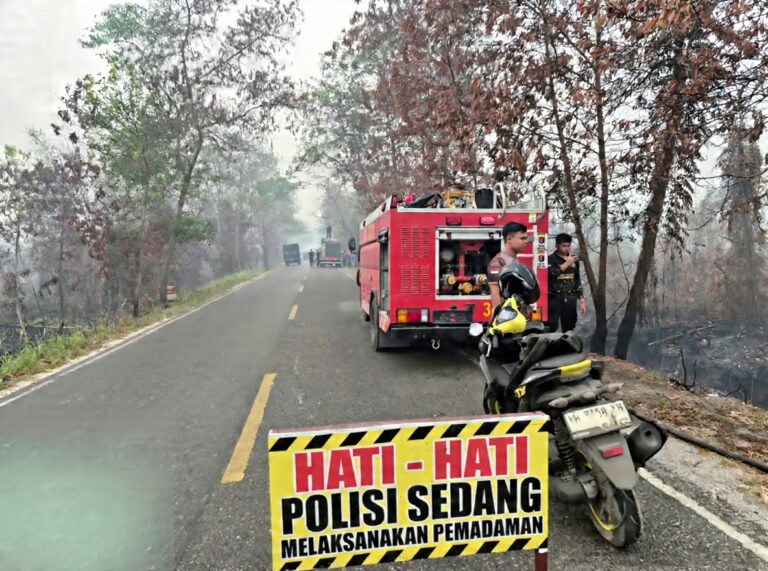 IMG-20261010-WA0031
